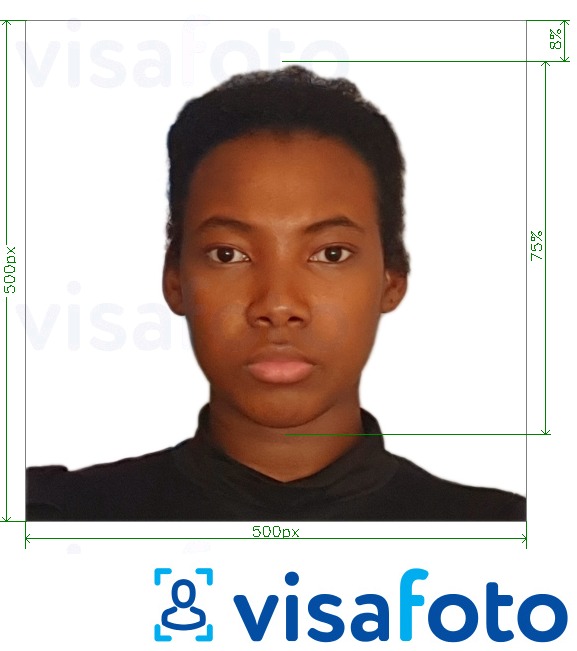Példa a Kamerun vízum online 500x500 px fényképre pontos méret meghatározással