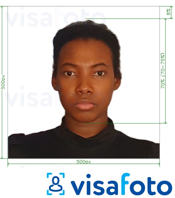 Példa a Kenya e-vízum online 500x500 pixel fényképre pontos méret meghatározással