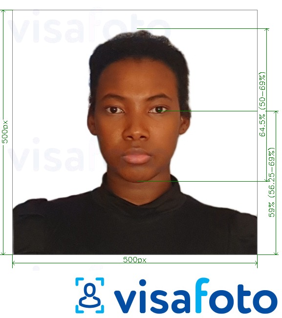 Példa a Ruanda Kelet-Afrika Turisztikai Visa online fényképre pontos méret meghatározással